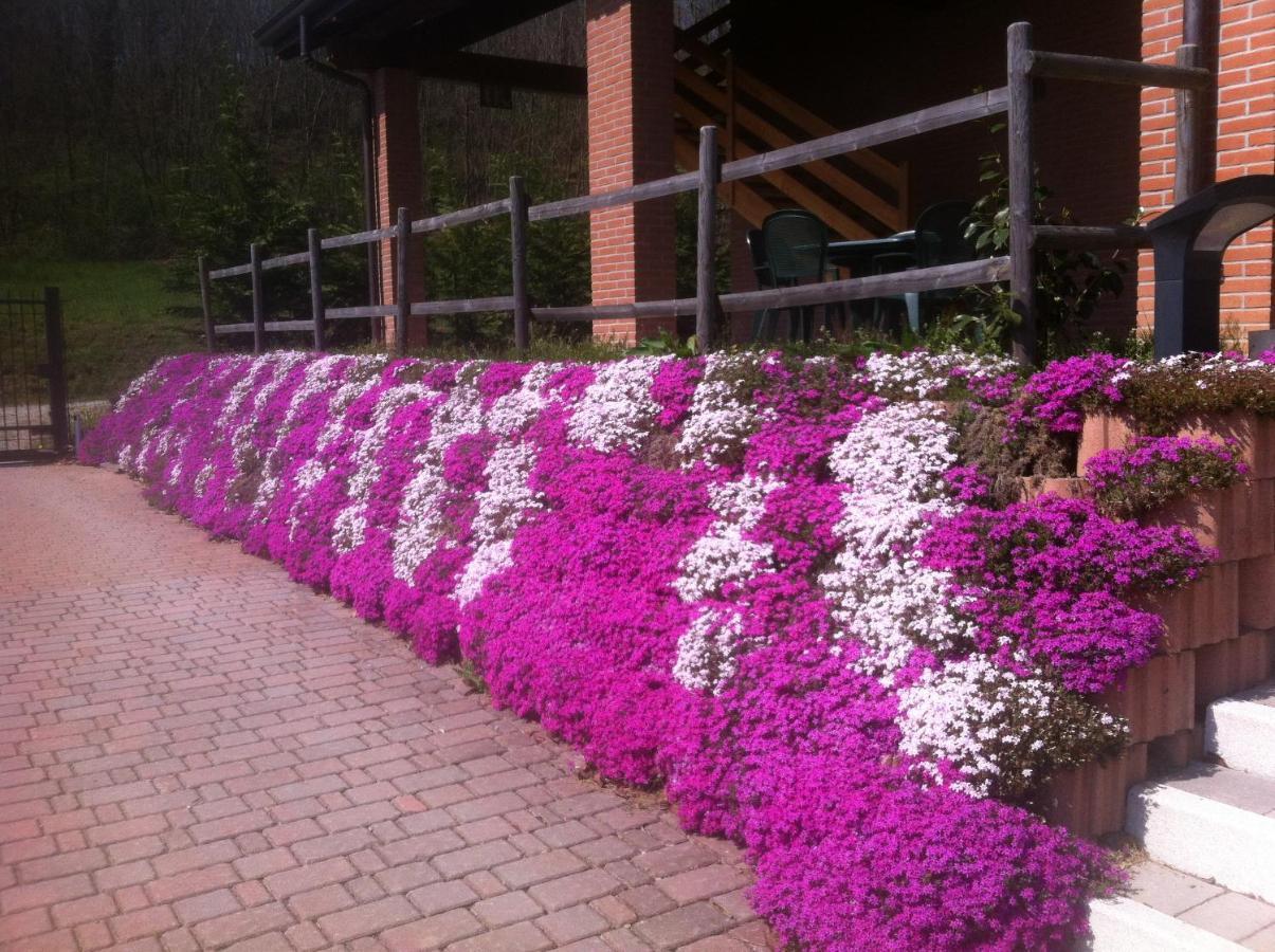 Agriturismo Altana Del Motto Rosso Gattico Exterior photo